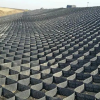 高分子耐腐蚀 HDPE 道路工程流域治理 土工格室